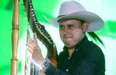 Joropo al parque. El arpa en tradición