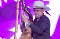 Joropo al parque. El arpa en tradición