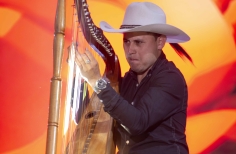 Joropo al parque. El arpa en tradición