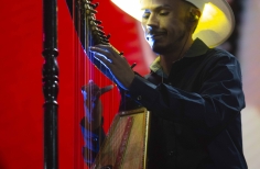 Joropo al parque. Amanda Betancourt, la dulzura del joropo