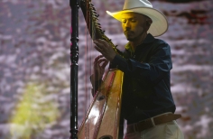 Joropo al parque. Amanda Betancourt, la dulzura del joropo