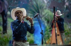 Joropo al parque. Amanda Betancourt, la dulzura del joropo