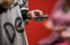  Apertura de estudio Artista Mari Luz Gil