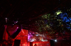 Beca Bogotá vive la noche 