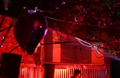 Beca Bogotá vive la noche 