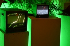 Beca Bogotá vive la noche 