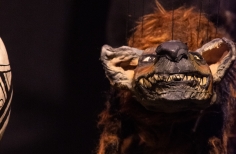 Nychy Ya Vivuli o Baseel y el país de las sombras