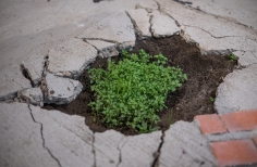 Inauguración exposición XIII PLC