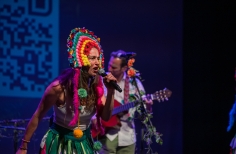 Concierto un bosque encantado 