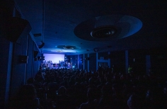 Perrigris & Perratas - Perros de la impro