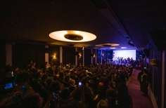 Perrigris & Perratas - Perros de la impro