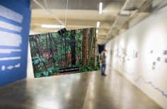 Cierre residencia NN -Ciudad de Agua - Espacio el Parqueadero Museo MAMU