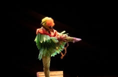 Obra Pajaros Becas LEP