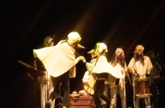 Obra Pajaros Becas LEP