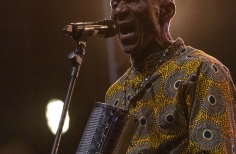 Tortazo de la Afrocolombianidad