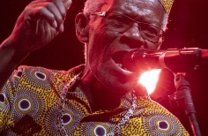 Tortazo de la Afrocolombianidad