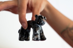 Jornada de Recolección de Contenido - Mes del Orgullo JUNIO Crea El Tunal y Crea Las Delicias