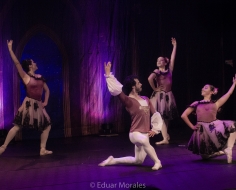 Ballet 1