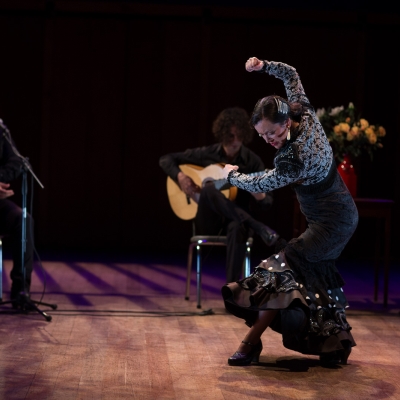 Tablao artistas internacionales