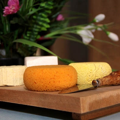 Un Puesto en la Mesa.