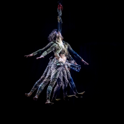 La Esperanza, la Gata Cirko