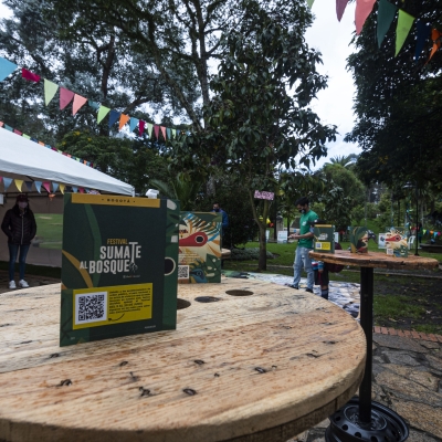 El Mercado de las Aves en el Teatro el Parque