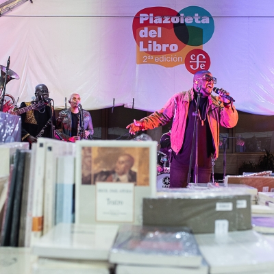 Pequeños Conciertos en Librerías