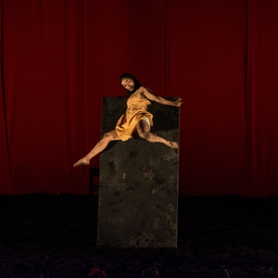 La mirada de la Avestruz