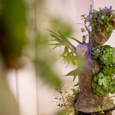 Holistic Garden by Xikaria - Proyecto ganador de Chapinero