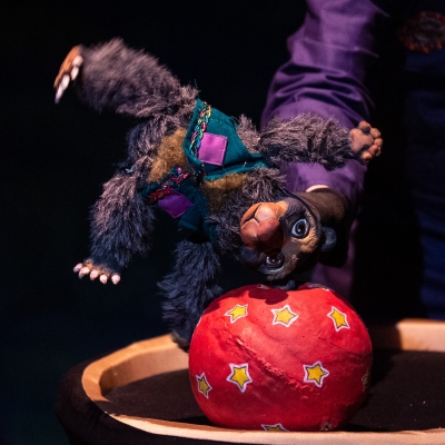 Festival de títeres Manuelucho