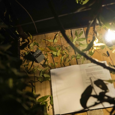 Exposición Suturas.