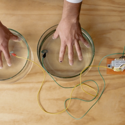 Lab 10 años Plataforma Bogotá