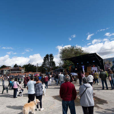 Serenatas a Bogotá, Proyecto Mixtura