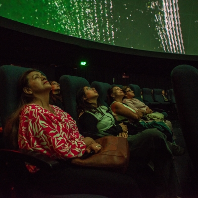 Franja Proyección PDE- Ganadores de la Beca de Creación de Videoarte para domo (2024)