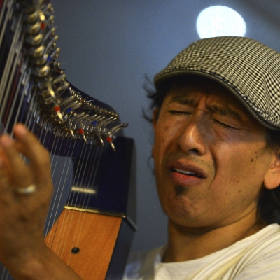 El arpa llanera y su fusión con las músicas del mundo. U. Nal.