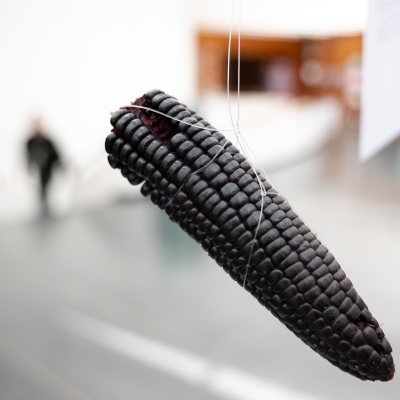 Astronomía sin fronteras