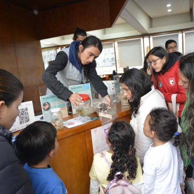 Celebración día mundial de los océanos. Planetario