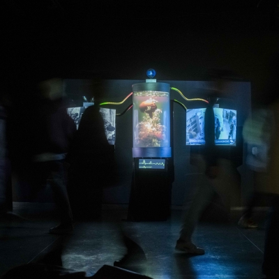 Barrido de público asistente viendo la exposición.