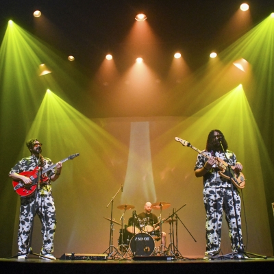 The Cat Lady - Franja Sentidos Rebeldes. 