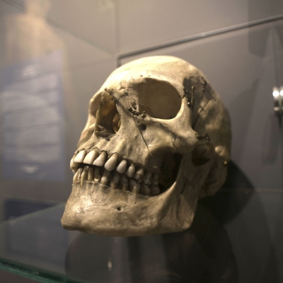  Poetica de los errores.