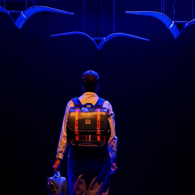 Hombre mirando pájaros