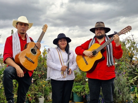 Programación diciembre