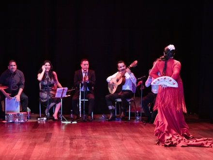 Flamenco