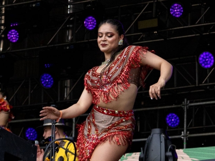 salsa al parque 2024