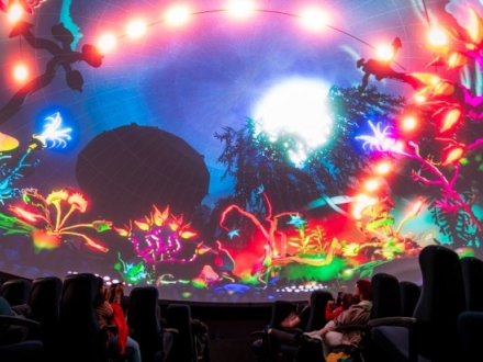 Proyección inmersiva en el domo del Planetario de Bogotá: flores, ramas y figuras fluorescentes en rosa, naranja y verde rodean al público sentado bajo la cúpula.