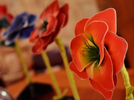 Flores madre