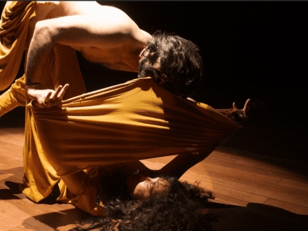 Concuerpos - Micelio 