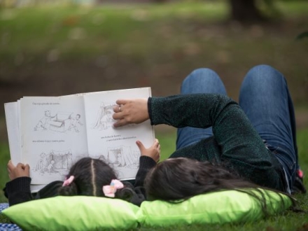 Pícnic Literario