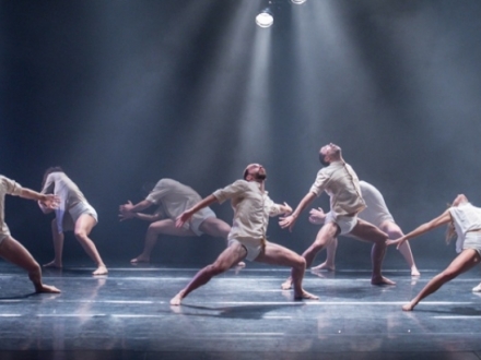 Grupo Danza