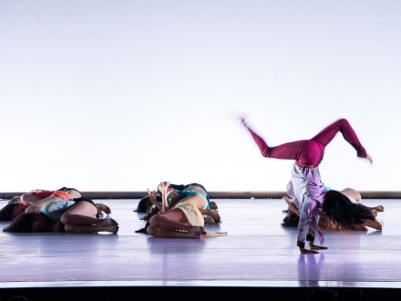 Plataforma Danza Bogotá